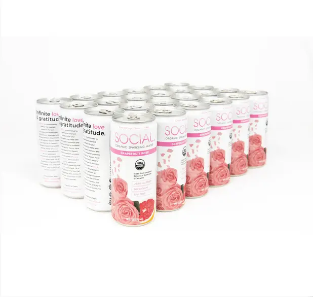 Grapefruit Rose Sparkling Water (24 pack loose)